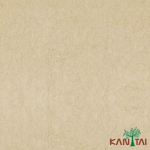 Papel de Parede - My Color